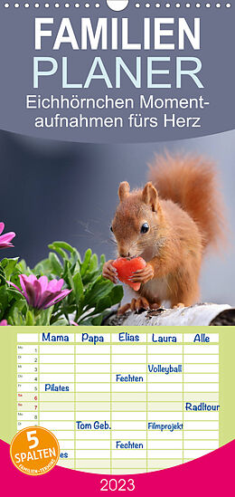 Kalender Familienplaner Eichhörnchen Momentaufnahmen fürs Herz (Wandkalender 2023 , 21 cm x 45 cm, hoch) von Tine Meier
