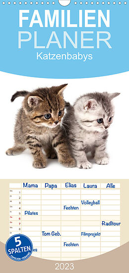 Kalender Familienplaner Katzenbabys (Wandkalender 2023 , 21 cm x 45 cm, hoch) von Hesch-Foto