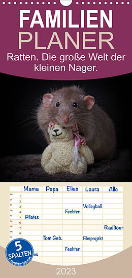 Kalender Familienplaner Ratten. Die große Welt der kleinen Nager (Wandkalender 2023 , 21 cm x 45 cm, hoch) von Thorsten Nilson
