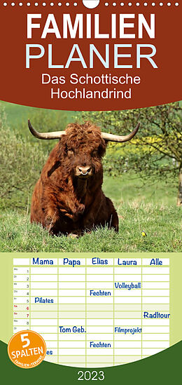 Kalender Familienplaner Das Schottische Hochlandrind (Wandkalender 2023 , 21 cm x 45 cm, hoch) von Christine Schmutzler-Schaub