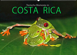 Kalender COSTA RICA - Tierische Momente (Wandkalender 2023 DIN A2 quer) von Michael Matziol