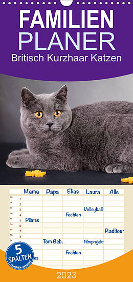 Kalender Familienplaner Britisch Kurzhaar Katzen (Wandkalender 2023 , 21 cm x 45 cm, hoch) von Gabriela Wejat-Zaretzke