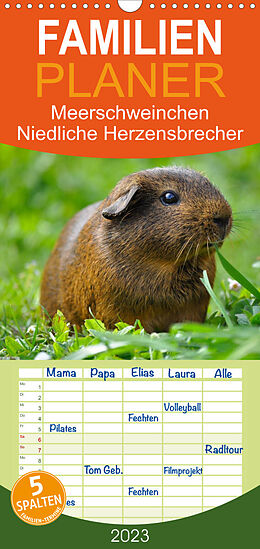 Kalender Familienplaner Meerschweinchen Niedliche Herzensbrecher (Wandkalender 2023 , 21 cm x 45 cm, hoch) von Elisabeth Stanzer
