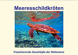 Kalender Meeresschildkröten  Faszinierende Geschöpfe der Weltmeere (Wandkalender 2023 DIN A2 quer) von Andrea Hess