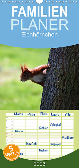 Kalender Familienplaner Eichhörnchen (Wandkalender 2023 , 21 cm x 45 cm, hoch) von SchnelleWelten
