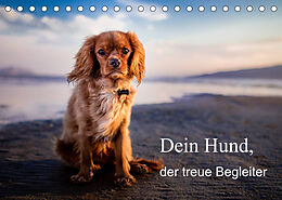 Kalender Dein Hund der treue Begleiter (Tischkalender 2023 DIN A5 quer) von Frank Gayde