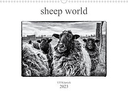 Kalender sheep world (Wandkalender 2023 DIN A3 quer) von Ulf Köpnick