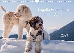 Kalender Lagotto Romagnolo in den Alpen 2023 (Wandkalender 2023 DIN A4 quer) von wuffclick-pic