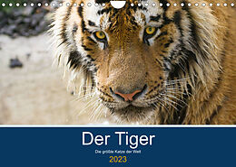 Kalender Der Tiger - die größte Katze der Welt (Wandkalender 2023 DIN A4 quer) von Cloudtail the Snow Leopard