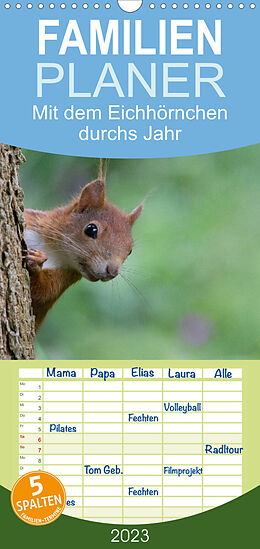 Kalender Familienplaner Mit dem Eichhörnchen durchs Jahr (Wandkalender 2023 , 21 cm x 45 cm, hoch) von Margret Brackhan