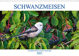 Kalender Schwanzmeisen (Wandkalender 2023 DIN A3 quer) von Anette Jäger