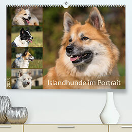 Kalender Islandhunde im Portrait (Premium, hochwertiger DIN A2 Wandkalender 2023, Kunstdruck in Hochglanz) von Monika Scheurer