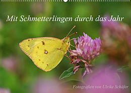 Kalender Mit Schmetterlingen durch das Jahr (Wandkalender 2023 DIN A2 quer) von Ulrike Schäfer