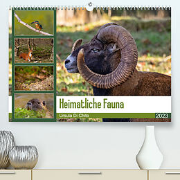 Kalender Heimatliche Fauna (Premium, hochwertiger DIN A2 Wandkalender 2023, Kunstdruck in Hochglanz) von Ursula Di Chito