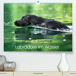 Kalender Labradore im Wasser (Premium, hochwertiger DIN A2 Wandkalender 2023, Kunstdruck in Hochglanz) von Cornelia Strunz
