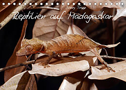 Kalender Reptilien auf Madagaskar (Tischkalender 2023 DIN A5 quer) von Benny Trapp