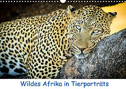 Kalender Wildes Afrika in Tierporträts (Wandkalender 2023 DIN A3 quer) von Frank Weitzer