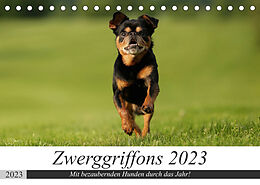 Kalender Zwerggriffons 2023 (Tischkalender 2023 DIN A5 quer) von Angelika Witt - Schomber