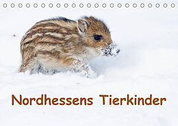 Kalender Nordhessens Tierkinder (Tischkalender 2023 DIN A5 quer) von Wilfried Martin