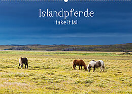 Kalender Islandpferde take it Isi (Wandkalender 2023 DIN A2 quer) von Klaus Gerken