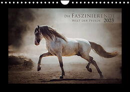 Kalender Die Faszinierende Welt der Pferde (Wandkalender 2023 DIN A4 quer) von Sabrina Mischnik