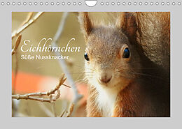 Kalender Eichhörnchen - Süße Nussknacker (Wandkalender 2023 DIN A4 quer) von Fofino