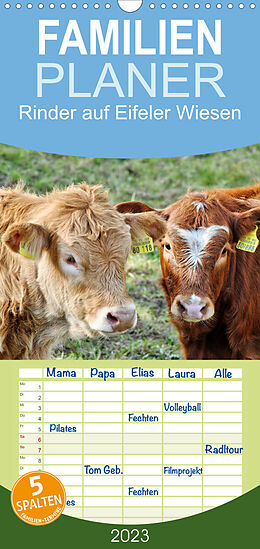 Kalender Familienplaner Rinder auf Eifeler Wiesen (Wandkalender 2023 , 21 cm x 45 cm, hoch) von Jean-Louis Glineur