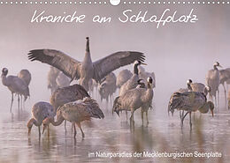 Kalender Kraniche am Schlafplatz - im Naturparadies der Mecklenburgischen Seenplatte (Wandkalender 2023 DIN A3 quer) von André Pretzel - FotoPretzel