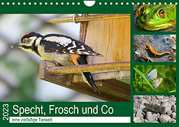 Kalender Specht, Frosch und Co - eine vielfältige Tierwelt (Wandkalender 2023 DIN A4 quer) von Claudia Schimmack