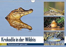 Kalender Krokodile in der Wildnis (Wandkalender 2023 DIN A4 quer) von Yvonne und Michael Herzog