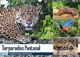 Kalender Tierparadies Pantanal (Wandkalender 2023 DIN A3 quer) von Michael und Yvonne Herzog
