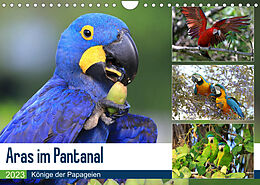 Kalender Aras im Pantanal (Wandkalender 2023 DIN A4 quer) von Yvonne und Michael Herzog