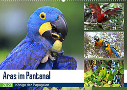 Kalender Aras im Pantanal (Wandkalender 2023 DIN A2 quer) von Yvonne und Michael Herzog