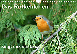 Kalender Das Rotkehlchen singt uns ein Lied (Wandkalender 2023 DIN A4 quer) von Rufotos