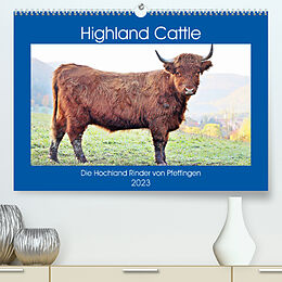 Kalender Highland Cattle, die Hochlandrinder aus Pfeffingen (Premium, hochwertiger DIN A2 Wandkalender 2023, Kunstdruck in Hochglanz) von Günther Geiger