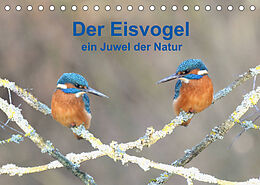 Kalender Der Eisvogel ein Juwel der Natur (Tischkalender 2023 DIN A5 quer) von Rufotos