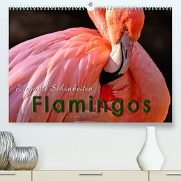 Kalender Flamingos - elegante Schönheiten (Premium, hochwertiger DIN A2 Wandkalender 2023, Kunstdruck in Hochglanz) von Peter Roder