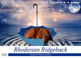 Kalender Rhodesian Ridgeback - kreativ in Szene gesetzt - (Tischkalender 2023 DIN A5 quer) von Dagmar Behrens