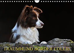 Kalender Traumhund Border Collie (Wandkalender 2023 DIN A4 quer) von Sigrid Starick