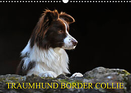 Kalender Traumhund Border Collie (Wandkalender 2023 DIN A3 quer) von Sigrid Starick