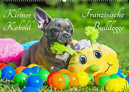 Kalender Kleiner Kobold Französische Bulldogge (Wandkalender 2023 DIN A2 quer) von Sigrid Starick