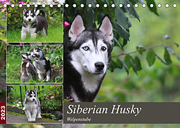 Kalender Siberian Husky - Welpenstube (Tischkalender 2023 DIN A5 quer) von Barbara Mielewczyk