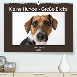 Kalender Kleine Hunde - Große Blicke (Premium, hochwertiger DIN A2 Wandkalender 2023, Kunstdruck in Hochglanz) von Akrema-Photography