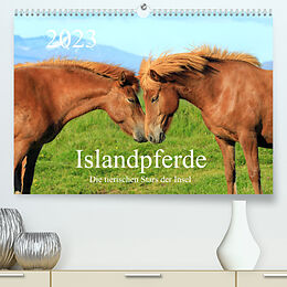 Kalender Islandpferde - Die tierischen Stars der Insel (Premium, hochwertiger DIN A2 Wandkalender 2023, Kunstdruck in Hochglanz) von Rainer Grosskopf