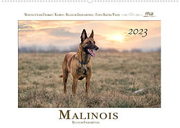 Kalender Malinois - Belgische Energiebündel (Wandkalender 2023 DIN A2 quer) von Martina Wrede