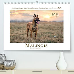 Kalender Malinois - Belgische Energiebündel (Premium, hochwertiger DIN A2 Wandkalender 2023, Kunstdruck in Hochglanz) von Martina Wrede