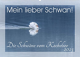Kalender Mein lieber Schwan! Die Schwäne vom Kochelsee. (Wandkalender 2023 DIN A2 quer) von Irma van der Wiel www.kalender-atelier.de