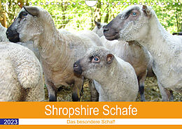 Kalender Shropshire Schafe (Wandkalender 2023 DIN A4 quer) von Margarete Brunhilde Kesting