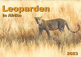 Kalender Leoparden in Afrika (Wandkalender 2023 DIN A2 quer) von Dr. Gerd-Uwe Neukamp