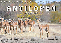Kalender Antilopen, schön und schnell (Tischkalender 2023 DIN A5 quer) von ROBERT STYPPA